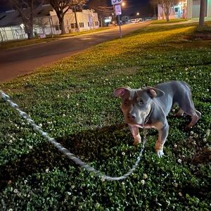 Meet your Posher, Malachi